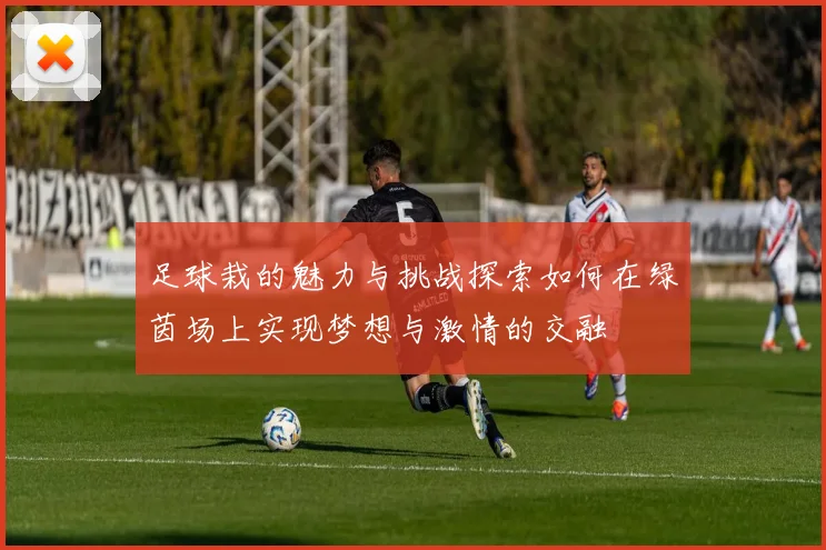 足球栽的魅力与挑战探索如何在绿茵场上实现梦想与激情的交融