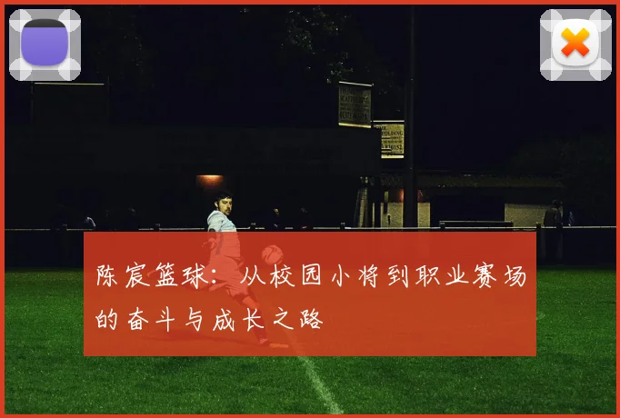 陈宸篮球：从校园小将到职业赛场的奋斗与成长之路