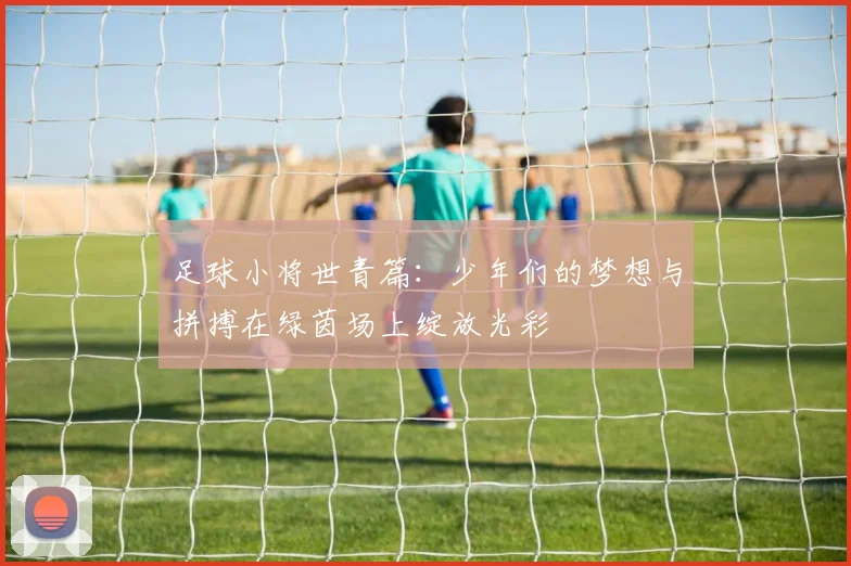 足球小将世青篇：少年们的梦想与拼搏在绿茵场上绽放光彩