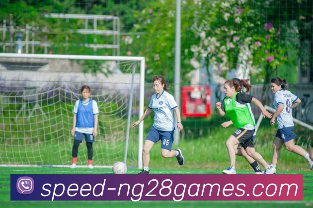 NG28中国官网APP 封面图