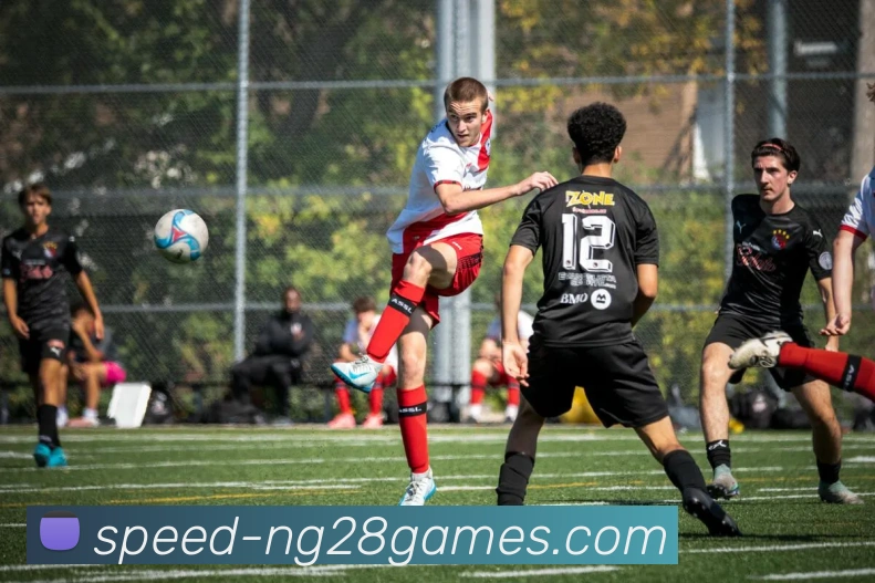 奖项3